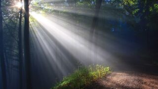 「分からないまま進ませない」が生まれた瞬間|教員27年が創った完全理解保証