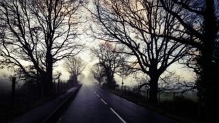 50歳・何者でもない自分と向き合った180日【元教頭の実話】