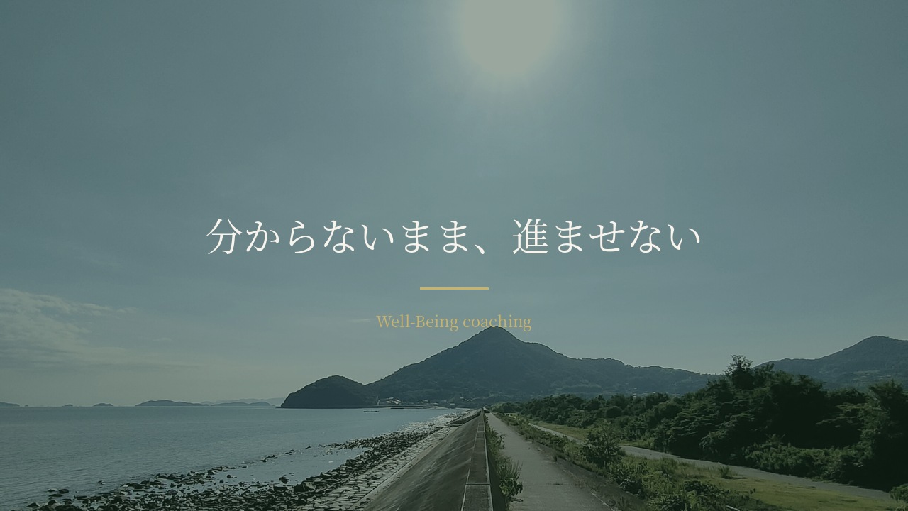 海沿いの堤防に伸びる一本道と、正面の山。「分からないまま、進ませない」の文字