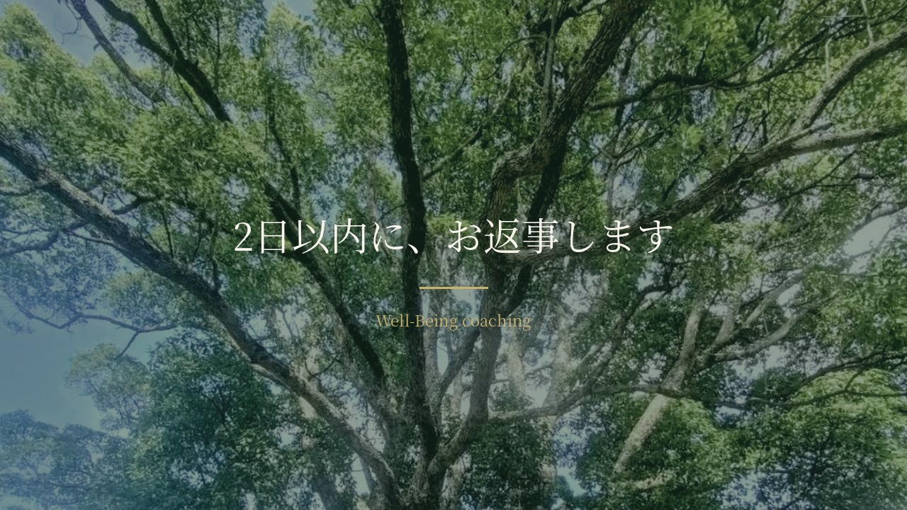 見上げた大木の枝と、その間からの光。「2日以内に、お返事します」の文字
